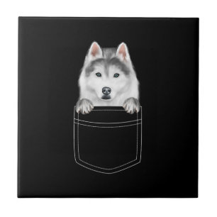 Siberian Husky Dog In Pocket Funny Dog Lover Gift Tile