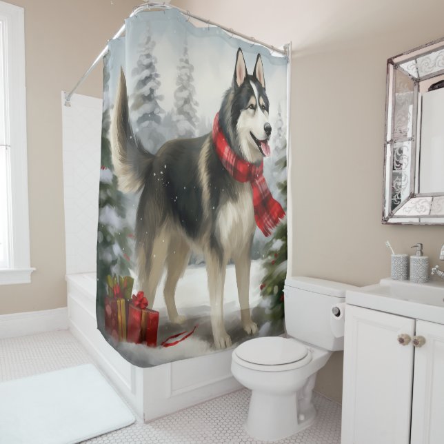 Siberian Husky Dog in Snow Christmas (In Situ)
