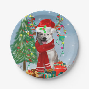 Siberian Husky Dog in Snow Christmas Paper Plate