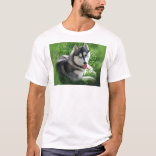 Siberian Husky Dog Men's T-Shirt