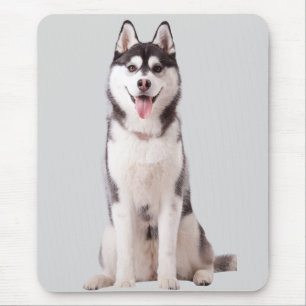 Siberian Husky Dog Mouse Pad