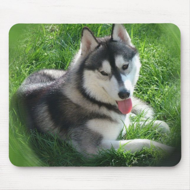 Siberian Husky Dog Mouse Pad (Front)