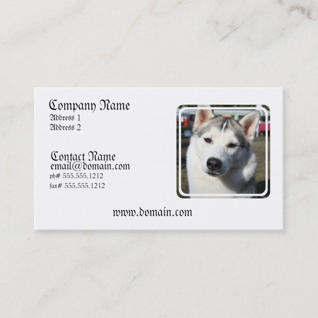 Siberian Husky Dog Photo Business Card (Front)