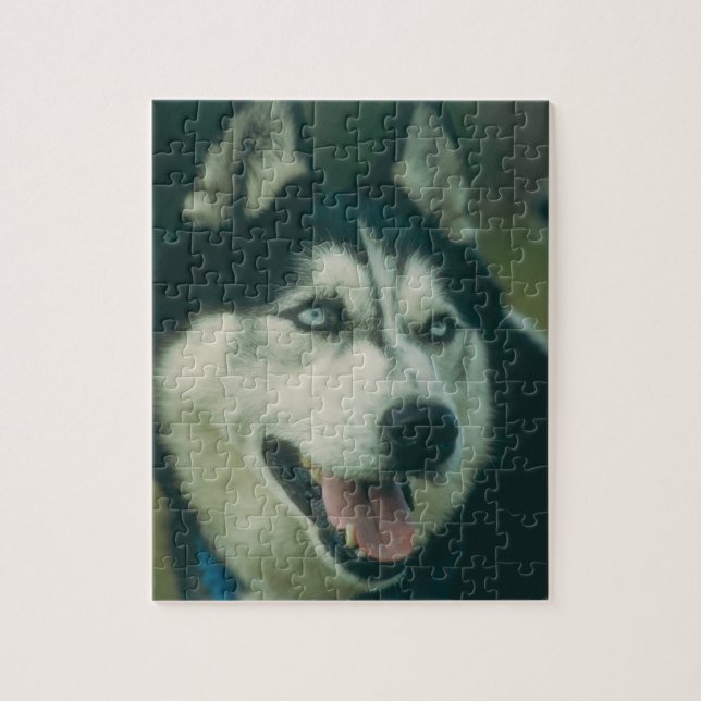 Siberian Husky Dog Puzzle (Vertical)