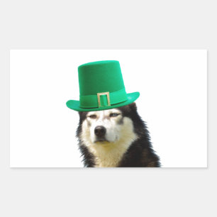 Siberian Husky Dog St. Patrick's day Sticker