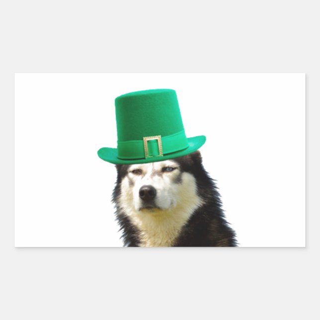 Siberian Husky Dog St. Patrick's day Sticker (Front)