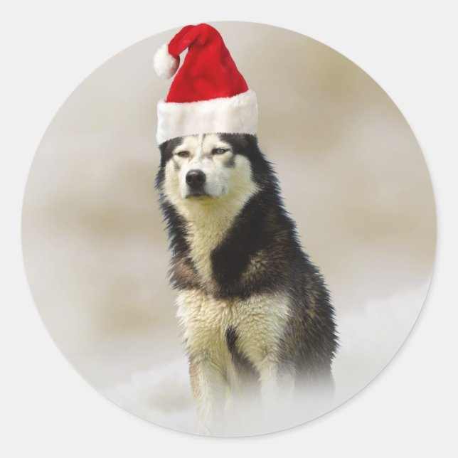 Siberian Husky Dog with Santa Hat in Snow Classic Round Sticker (Front)