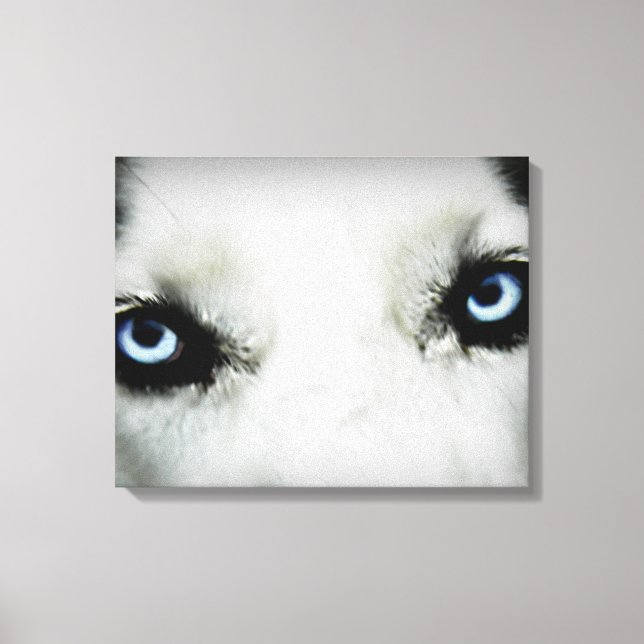 Siberian Husky Eyes Canvas Print (Front)