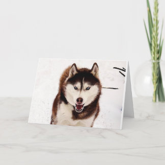 Siberian Husky Foldable Greeting Card 