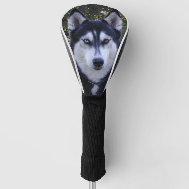 Siberian Husky Golf Club Cover (Front)