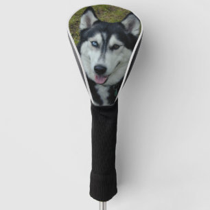 Siberian Husky Golf Club Cover