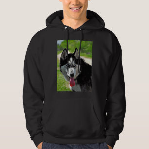 Siberian Husky Hoodie