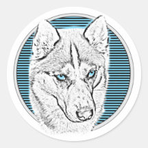 Siberian Husky Hund im Mond