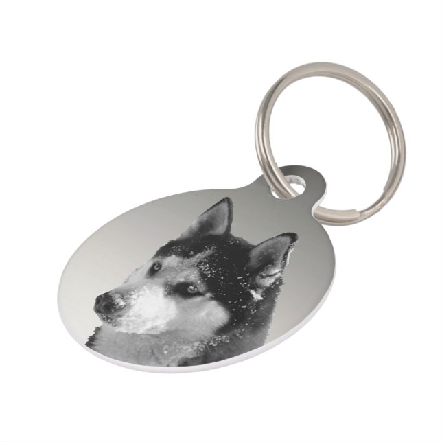 Siberian Husky Huskybild Pet Tag (Side)