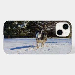 Siberian Husky In The Snow Case-Mate iPhone 14 Case