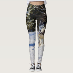 Siberian Husky In The Snow Leggings