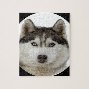 "Siberian Husky" Jigsaw Puzzle