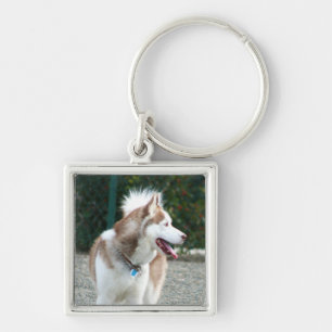 Siberian Husky keychain