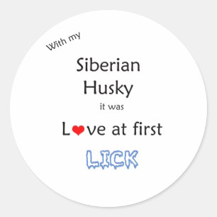 Siberian Husky Love at First Lick - Sticker