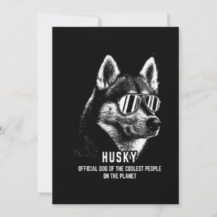 Siberian Husky Official Dog Of  Coolest Holiday Card