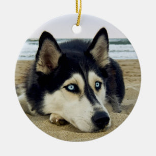 Siberian Husky on Beach Ceramic Ornament