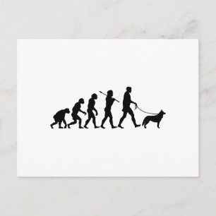 Siberian Husky Postcard