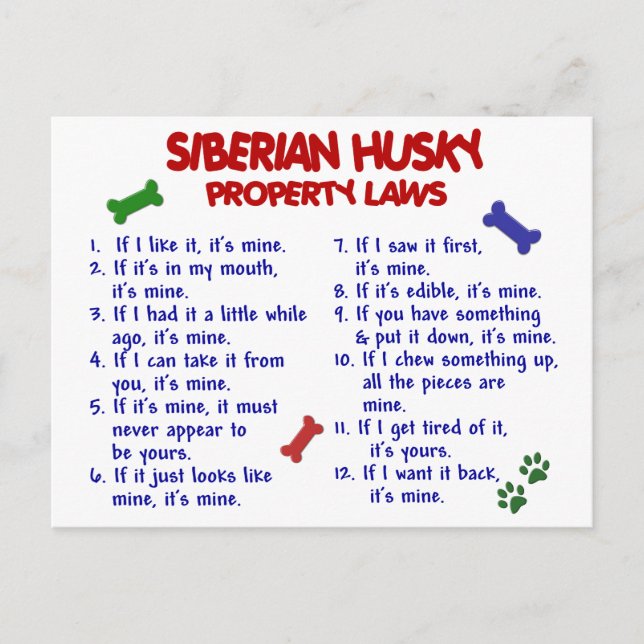 SIBERIAN HUSKY Property Laws 2 Postcard (Front)