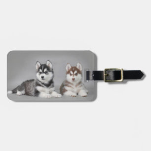 Siberian husky puppies luggage tag