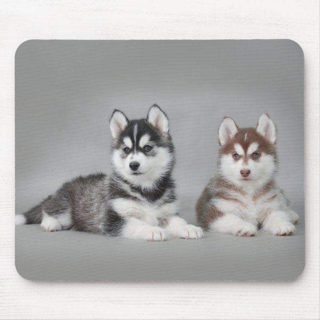 Siberian husky puppies mouse pad (Front)