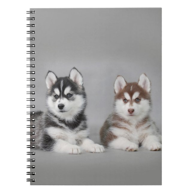 Siberian husky puppies notebook (Front)