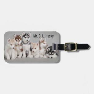Siberian Husky Puppies on Luggage Tag