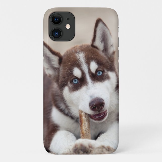 Siberian Husky Puppy at the Beach Case-Mate iPhone Case (Back)