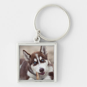 Siberian Husky Puppy at the Beach Keychain