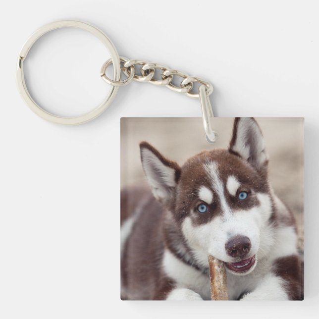 Siberian Husky Puppy at the Beach Keychain (Front)