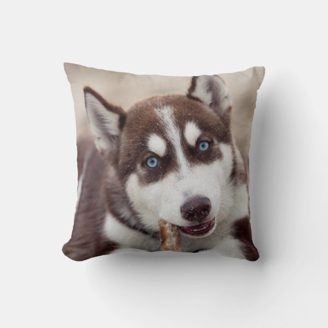 Siberian Husky Puppy at the Beach Throw Pillow (Front)