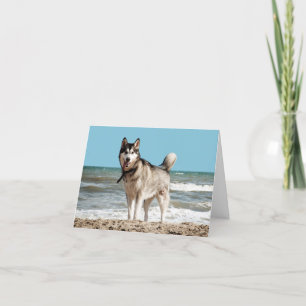 Siberian Husky Puppy Dog Blank Note Card