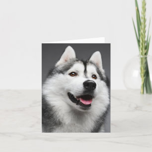 Siberian Husky Puppy Dog - Hello, Love, Miss You, Card