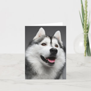 Siberian Husky Puppy Dog -  Hello, Love, Miss You, Card