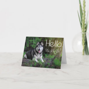 Siberian Husky Puppy Dog Hello, Thinking of You Card