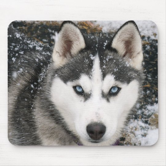 Siberian Husky Dog Doggy Lovely Wood Travel Luggage Tag Bag Accessory