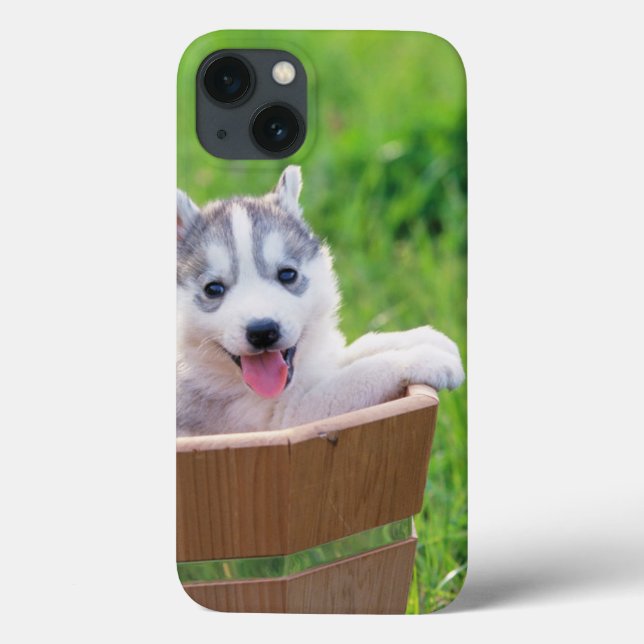 Siberian Husky Puppy in a Pot Case-Mate iPhone Case (Back)