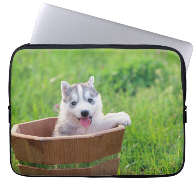 Siberian Husky Puppy in a Pot Laptop Sleeve (Front)
