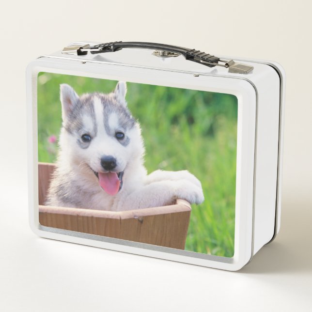 Siberian Husky Puppy in a Pot Metal Lunch Box (Back)