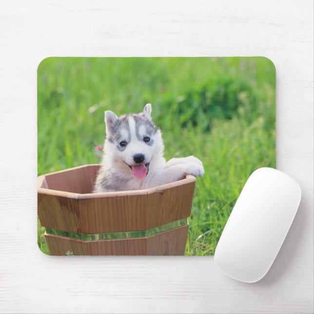 Siberian Husky Puppy in a Pot Mouse Pad (With Mouse)