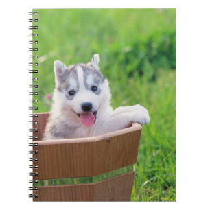 Siberian Husky Puppy in a Pot Notebook