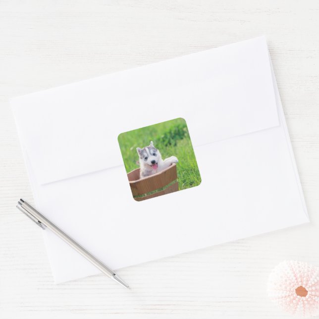 Siberian Husky Puppy in a Pot Square Sticker (Envelope)