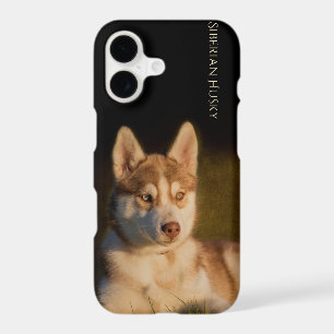 Siberian Husky Puppy Phone Case