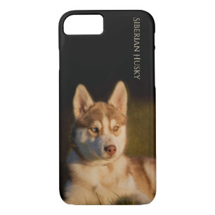 Siberian Husky Puppy Phone Case