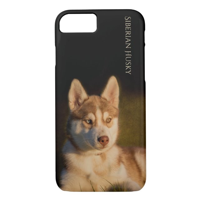Siberian Husky Puppy Phone Case (Back)