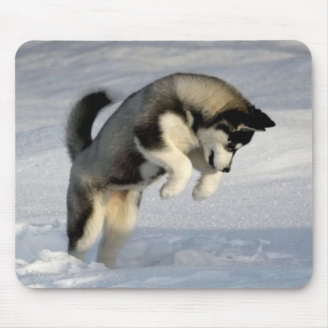 Siberian Husky puppy playing in the snow. Mouse Pad (Front)